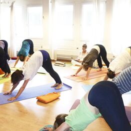 Yoga Veda Ausbildungsklasse im Hatha Yoga Unterricht