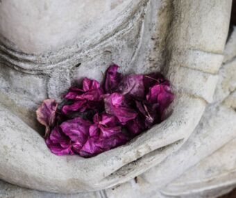 Blüten als Opfergabe zur Puja