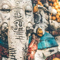 Titelbanner Yogaausbildung 300h bei Yoga Veda Schweiz