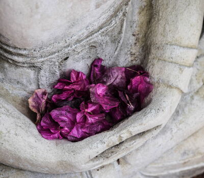 Blüten als Opfergabe zur Puja